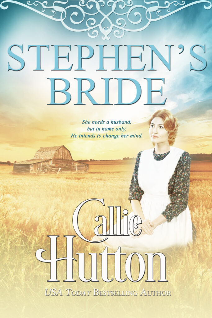 Book Cover: Stephen's Bride